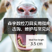 森宇数控刀具实用指南:选购、维护与常见问题解析(图4) 森宇数控刀具实用指南:选购、维护与常见问题解析(图4)